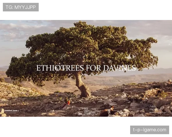 尼斯未来规划引领城市可持续发展新篇章 尼斯未来规划引领城市可持续发展新篇章