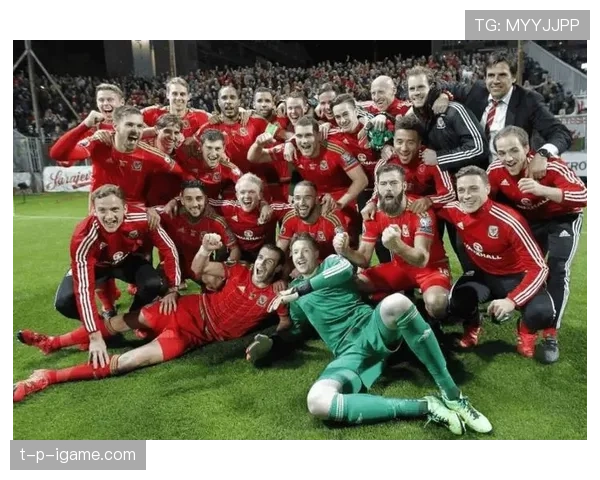 比利时在欧洲杯预选赛中表现稳健，锁定晋级希望。