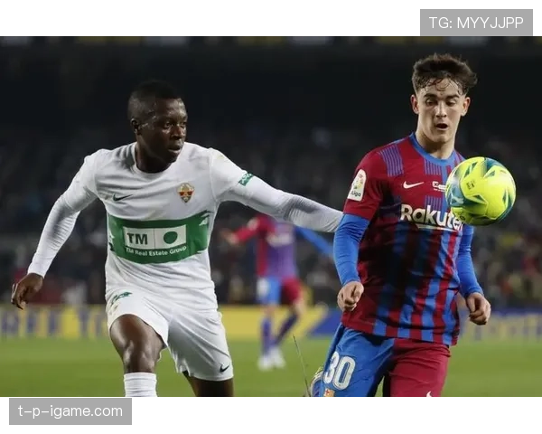 加维与哈维相似点